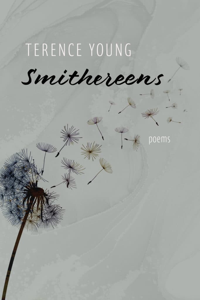 Smithereens By Terence Young